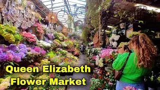 🇫🇷  Queen Elizabeth Flower Market in Paris 🌺 🚶