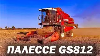 Палессе GS812 Молотим ячмень и пшеницу