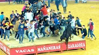 ✅ZARAGOZA 22  DIVERTIDAS  Mañanas Vaquilleras