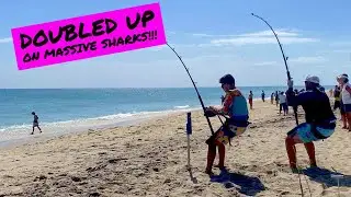 Insane SHARK FISHING From The Beach!!! | Land Based Shark Fishing