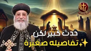حدث كبير لكن تفاصيله صغيرة 💖 ✨ #حبة_حنطة
