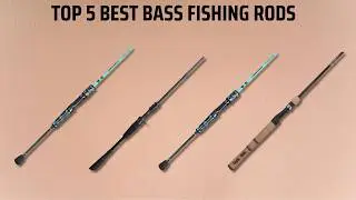 Best Bass Fishing Rods 2025 - (Are They Worth the Hype?)