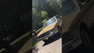 85 caprice rolling burnout
