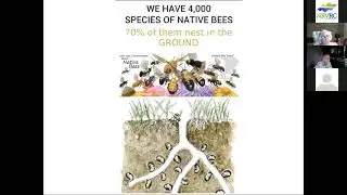 How to Support Nature While Preparing Your Garden for Winter: Debra Graff  Sept 2020