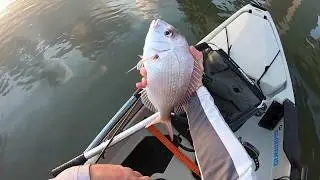 kayak fishing Brisbane River