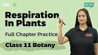 Respiration in Plants | NEET 2026 के Top PYQs & Concept Practice | Class 11 Botany