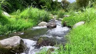 Tranquil River Flow &ndash; 10 Hours of Water ASMR  - Stress, Anxiety Relief & Meditation Sounds