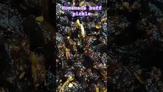 Spice Up Your Life with Homemade Buff Pickle!  #food #shortsfeed #shorts #cooking #smallbusiness