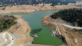 Aerial view of the Anderson Dam Seismic Retrofit Project