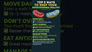Top 5 Ways to Keep Your Mitochondria Healthy #MitochondriaHealth #CellularEnergy #HealthyAging