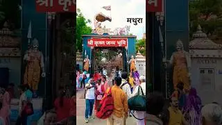 Krishna Janmabhoomi Temple, Mathura #krishna #jaishreekrishna #mathura #travel
