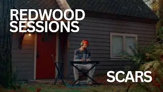 Caye - Chapter 4: Scars (Redwood Sessions)