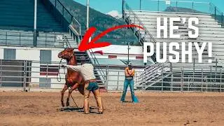 Working With A PUSHY Horse [Do Less Sooner]