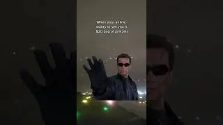 Spirit Airlines Terminator Meme
