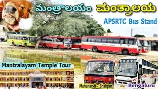ಮಂತ್ರಾಲಯ మంత్రాలయం Mantralayam Bus Stand | Temple Tour
