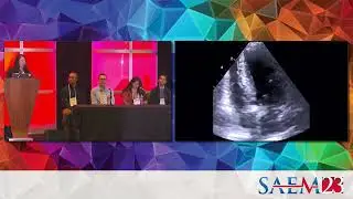 Vital Valvular Views: Can&rsquo;t Miss Cardiac Valve Emergencies and How to Identify Them