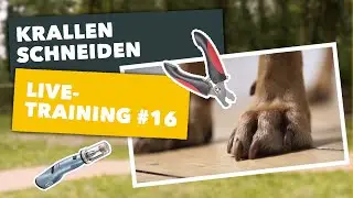 Live-Training #16, Thema: 