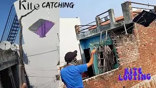 Kite looting | kite catching |  Ankit kite fighting | vlog by shivansh | @KiteLoverOfficial