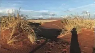 Woestijn Namibia  (Namib Desert)