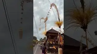 Bali local life. #travel  #bali #culture
