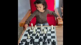 Learning Chess: With logic and Fun