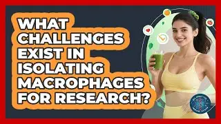 What Challenges Exist In Isolating Macrophages For Research? - All About the Immune System
