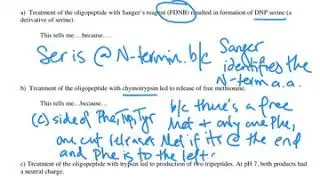 Determining peptide sequence exam problem (Fall 18 Exam2)
