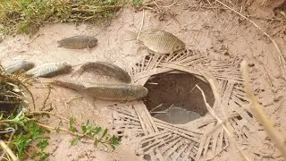 Easy Fish Trap |  Easy Ground Fishing Trap System