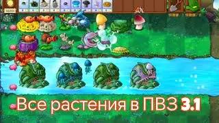 Все растения в ПВЗ 3.1