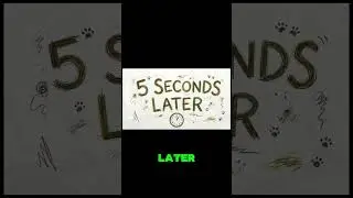 Monkey learns to regain focus🐒🍌 #learning #motivation #mindset #focus #productivity #selfimprovement
