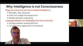 Can artificial neural networks achieve any level of consciousness?