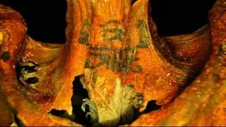 The Tattoo & The Ancients + Ancient Egypt Body Art Lecture