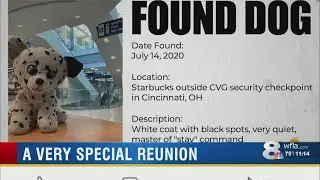 Lost stuffed dog reunited with Maderia Beach family with help of Cincinnati, St. Pete airport