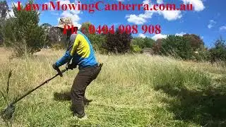 Affordable lawn mowing companies near me  | LawnMowingCanberra.com.au
