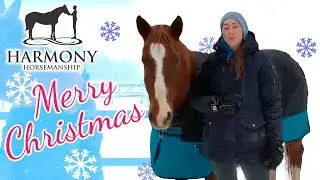 Merry Christmas from Lindsey and Her Horses