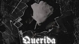 Querida - Dajo & Wayla (audio)