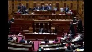 Французский Сенат одобрил однополые браки и усыновления