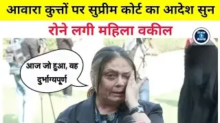 Supreme Court : Lawyer CRIES as Judges Order Removal of Stray Dogs | Delhi NCR Dog Crisis Verdict
