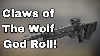 Destiny 2 Claws of The Wolf God Roll - This thing shreds!