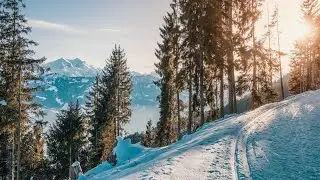 Schneealpe - Windberg - Wandern Steiermark - Hiking in Austria - Niederösterreich