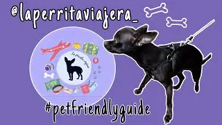 🟣 DONDE IR con mi MASCOTA 🐾 Lugares PET FRIENDLY 🐶
