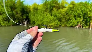 Fishing Florida Fall Transition ( Redfish, Tarpon and Speckled trout)
