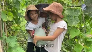 堅毅之星 2D周洛芙 周洛蓉