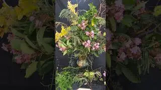 It's a Flower Centerpiece World!