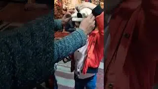 Pakistani Culture- Hunza Cap❤️