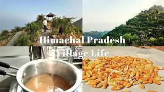 aesthetic day in my India life 🇮🇳 making morning chai & trekking Bandla Hill Top