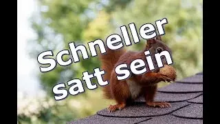 7 Tipps um schneller satt zu sein
