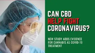 New Study Adds Evidence For Cannabis As Covid-19 Treatment | CBD oil