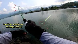PANTAI PRIGI || TARIKAN IKAN PENGHUNI SPOT DERMAGA PRIGI || CASTING PINGGIRAN LAUT