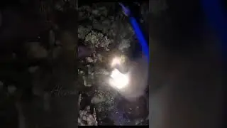 night hunting drummer fish #nightspearfishing #berburuikan #ikan